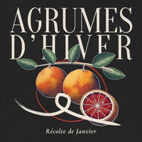 REVØRA Agrumes d'Hiver – Hoodie in Black, Rückenprint aus der Nähe