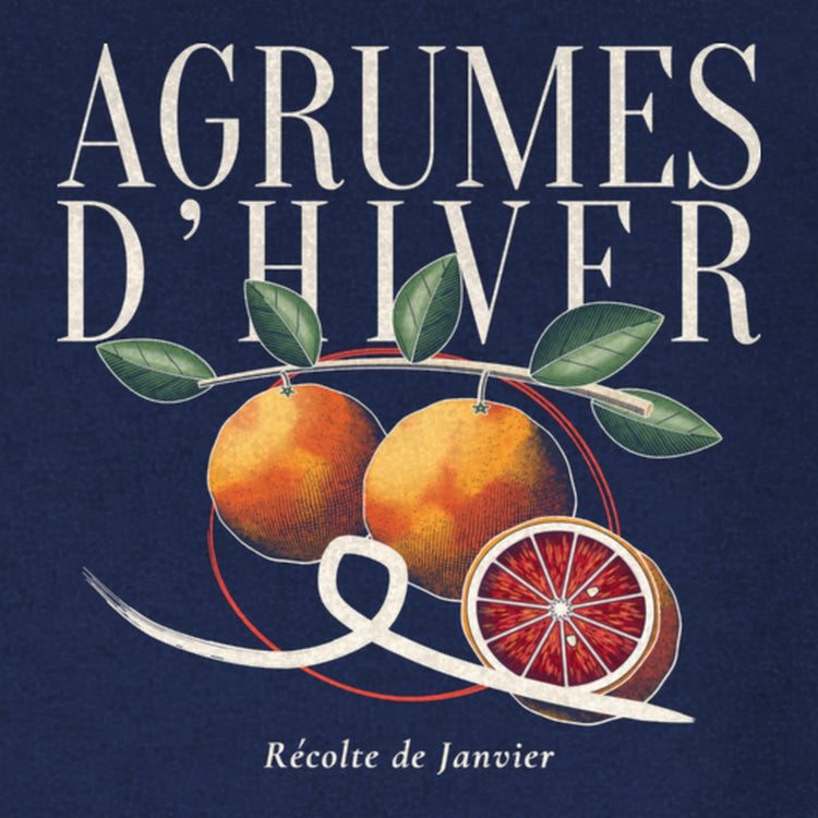 Agrumes d'Hiver Sweatshirt