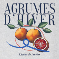REVØRA Agrumes d'Hiver – Sweatshirt in Heather Grey, Rückenprint aus der Nähe