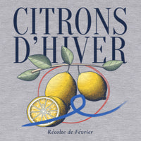 REVØRA Citrons d'Hiver – Hoodie in Heather Grey, Rückenprint aus der Nähe