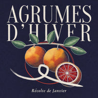REVØRA Agrumes d'Hiver – Hoodie in French Navy, Rückenprint aus der Nähe