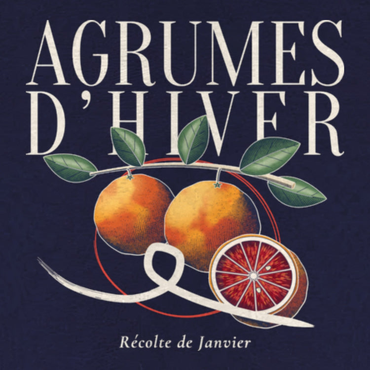 Agrumes d'Hiver Hoodie